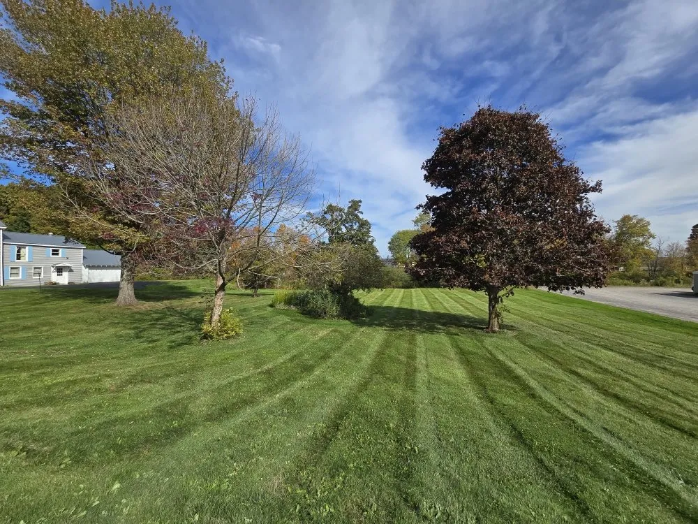 Trusted landscape installation in Rome, NY by CNY Lawn Pro Solutions