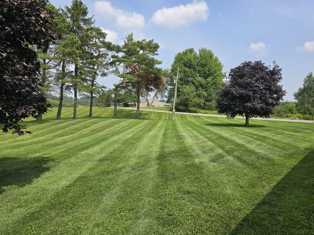 Affordable yard cleanup service for year-round maintenance across Rome, NY - CNY Lawn Pro Solutions
