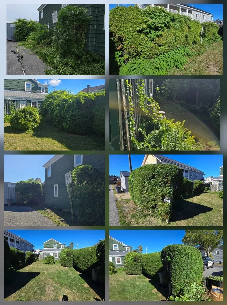 Top-rated landscape installation in Rome, NY - CNY Lawn Pro Solutions