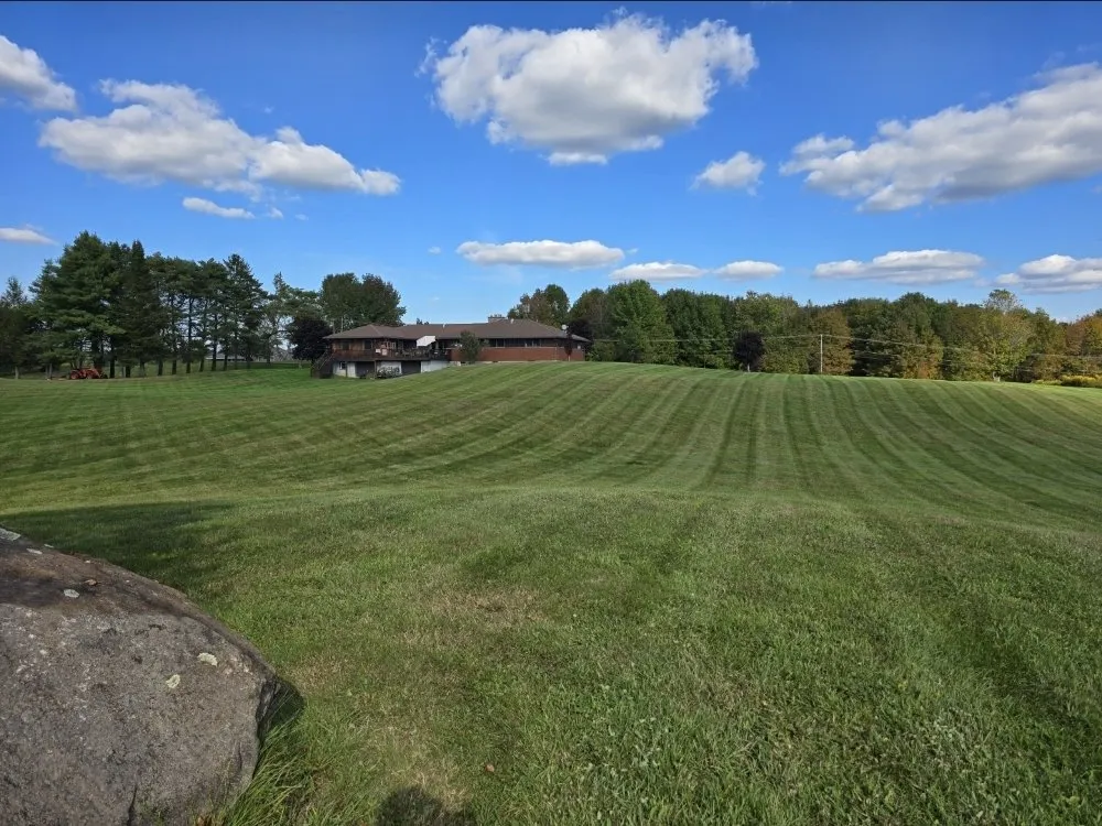 Affordable lawn care service in Rome, NY - CNY Lawn Pro Solutions