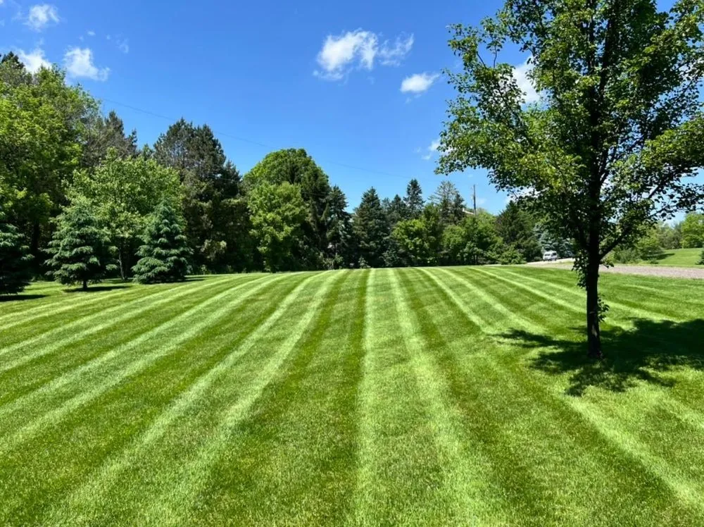 Reliable yard cleanup service experts serving Rome, NY - CNY Lawn Pro Solutions