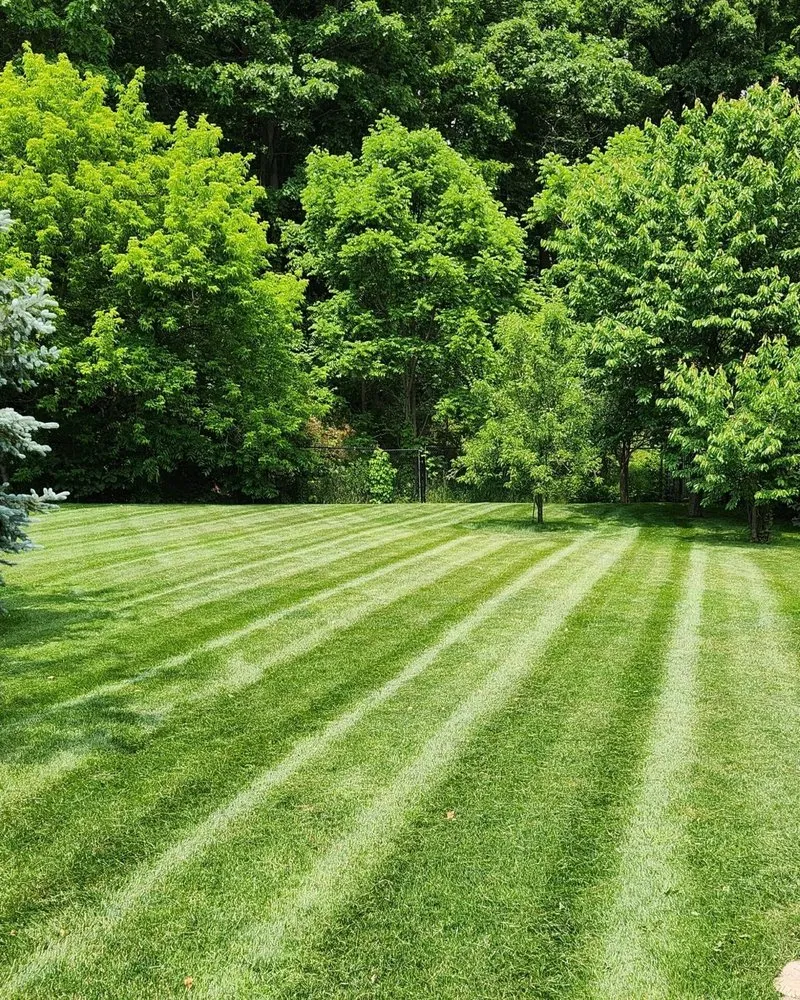 Professional landscape installation in Rome, NY by CNY Lawn Pro Solutions