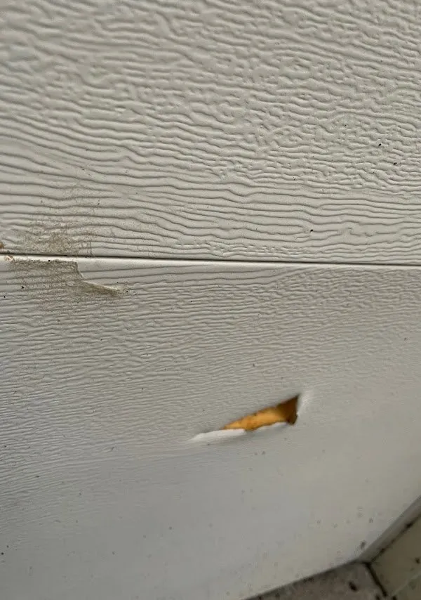 Custom lawn care service for beautiful yards in Clay, NY by CNY Plowing