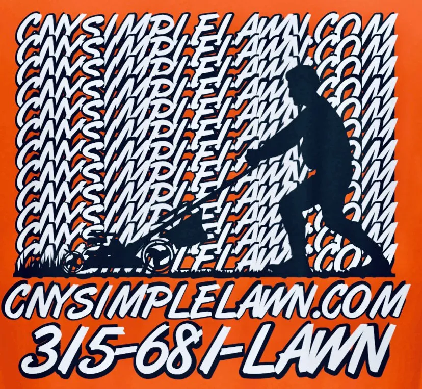 Top-rated landscape design for beautiful yards across Cato, NY - Cny simple lawn