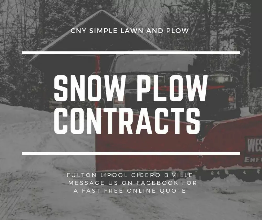 Affordable landscape design in Cato, NY - Cny simple lawn