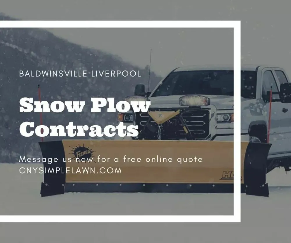 Local yard maintenance experts serving Cato, NY - Cny simple lawn