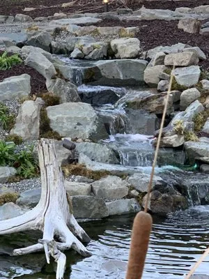 CNY Water Gardens