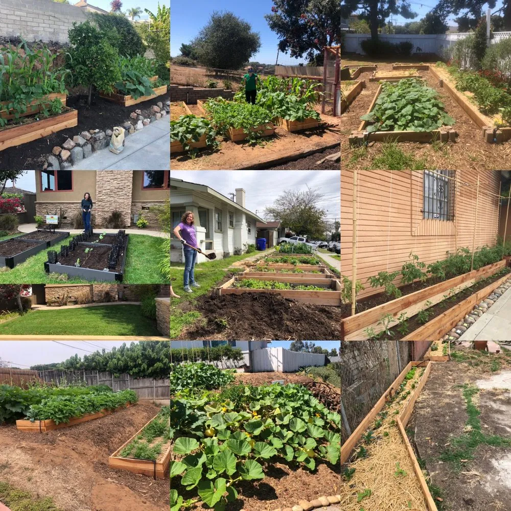Top-rated residential landscaping in San Diego, CA by Co-Harvest Foundation