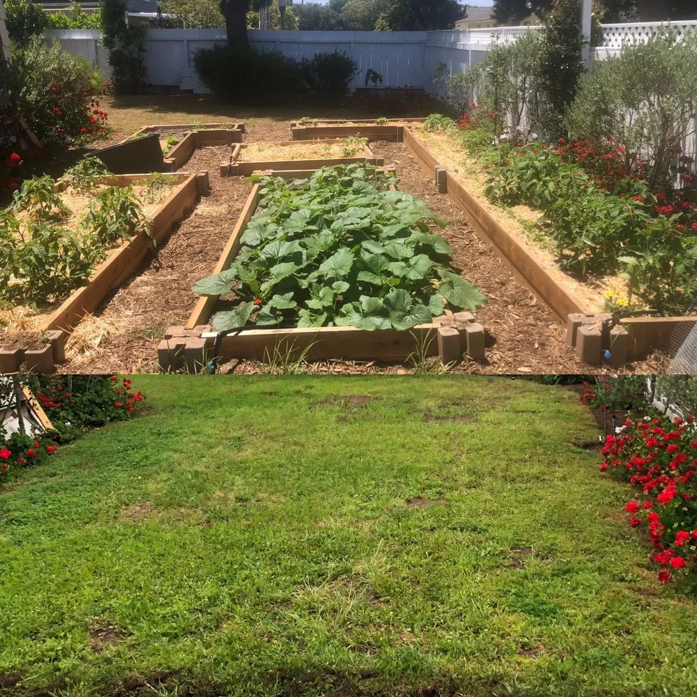 Professional landscape design in San Diego, CA by Co-Harvest Foundation