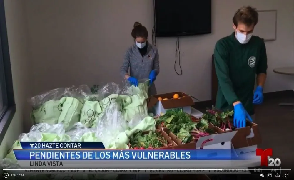 Custom outdoor landscaping in San Diego, CA by Co-Harvest Foundation