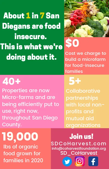 Trusted yard cleanup service near you in San Diego, CA by Co-Harvest Foundation