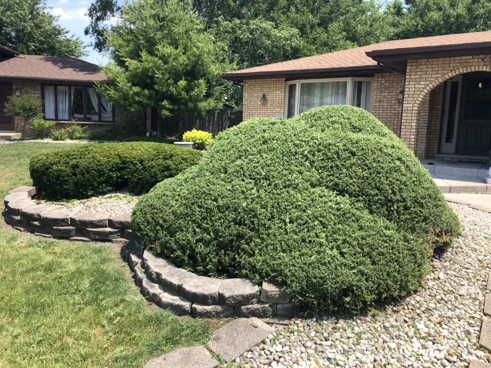 Local landscape installation in Homer Glen, IL - C&O Landscaping