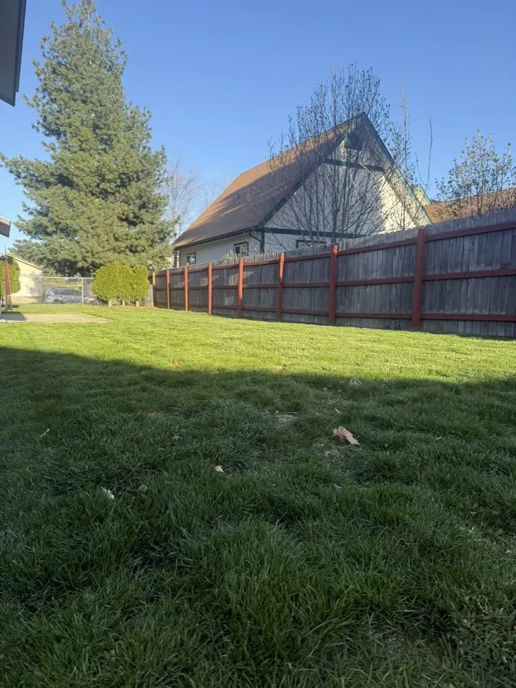 Top-rated yard maintenance for homes across Sandpoint, ID - Co Landscaping