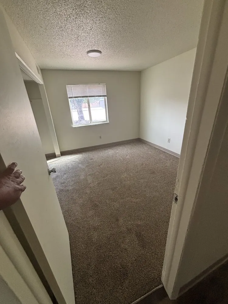 Top-rated yard cleanup service experts serving Pueblo, CO - Co Renovations