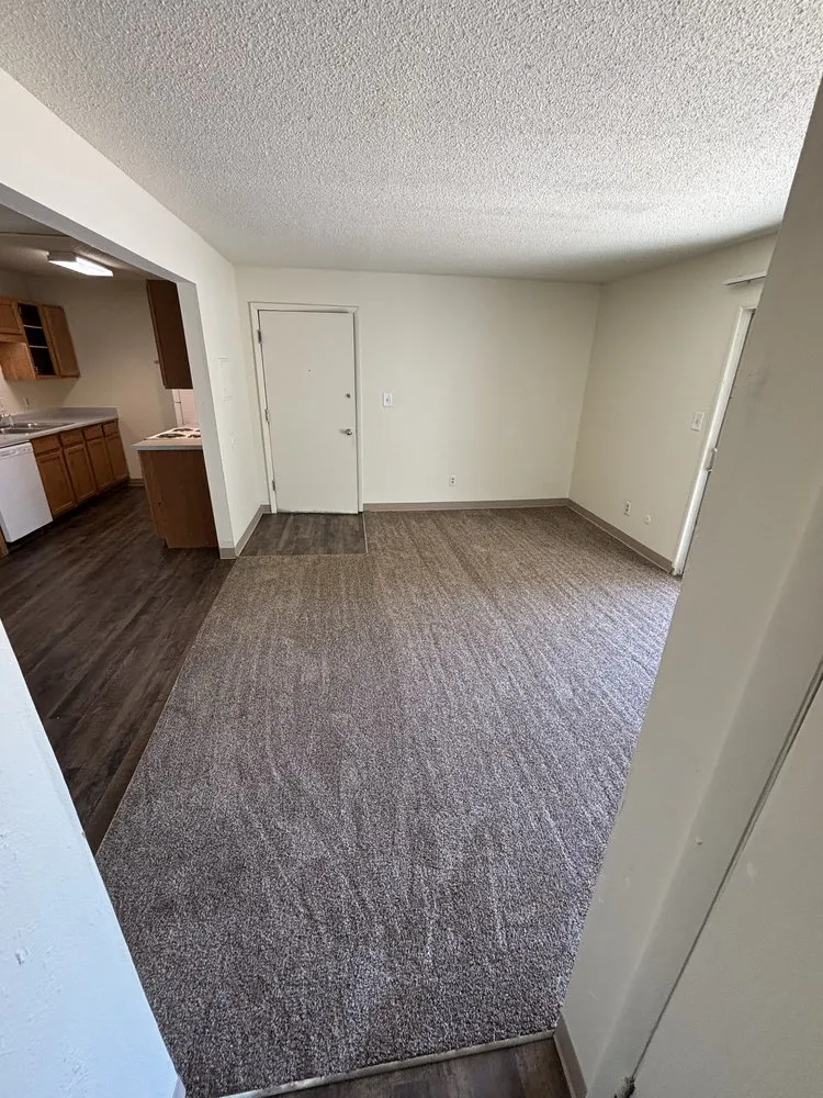 Reliable landscaping services experts serving Pueblo, CO - Co Renovations