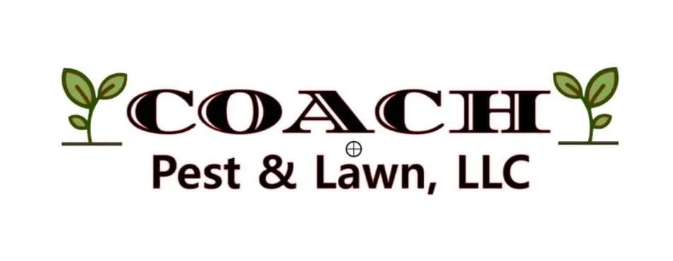 Reliable yard cleanup service for beautiful yards across Portland, TN - Coach Pest & Lawn