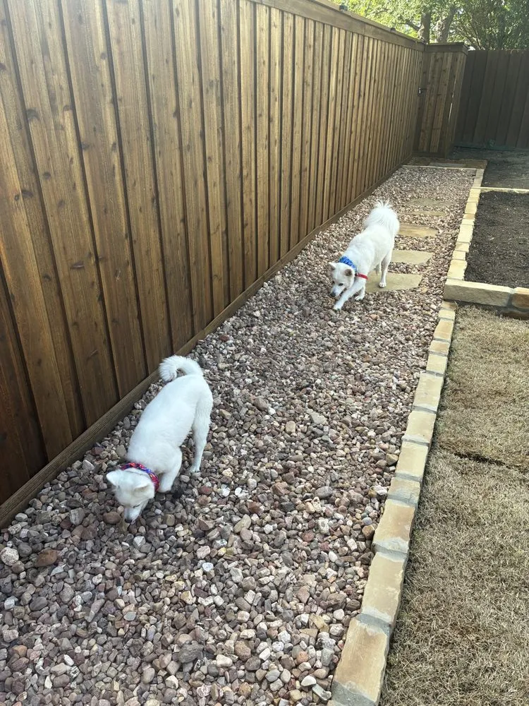 Top-rated lawn mowing service in Keller, TX - Coaches Outdoor Services