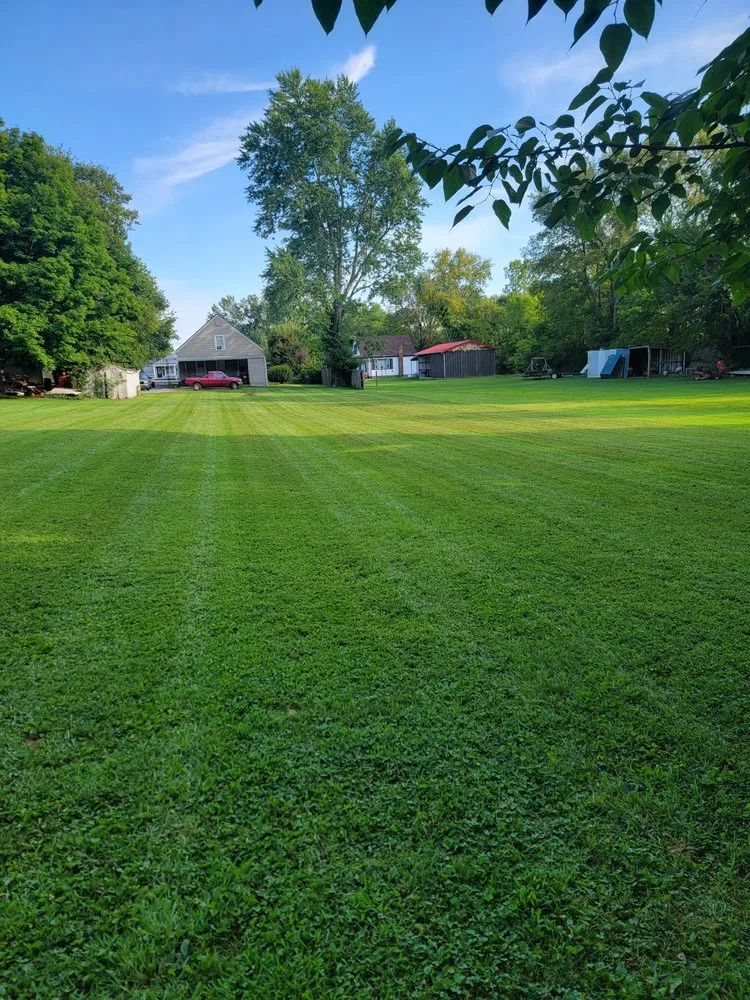 Expert landscape installation for year-round maintenance across Lexington, KY - Coach's Curb Appeal