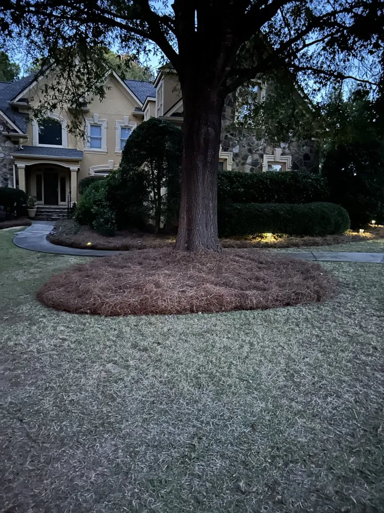 Professional yard cleanup service for residential properties in Eatonton, GA by Coach’s Cuts Lawncare