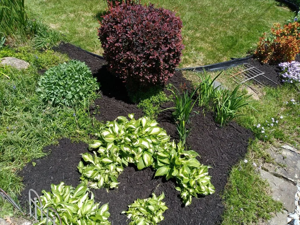 Reliable landscape design experts serving Aliquippa, PA - Coamo Landscaping and Lawn Care