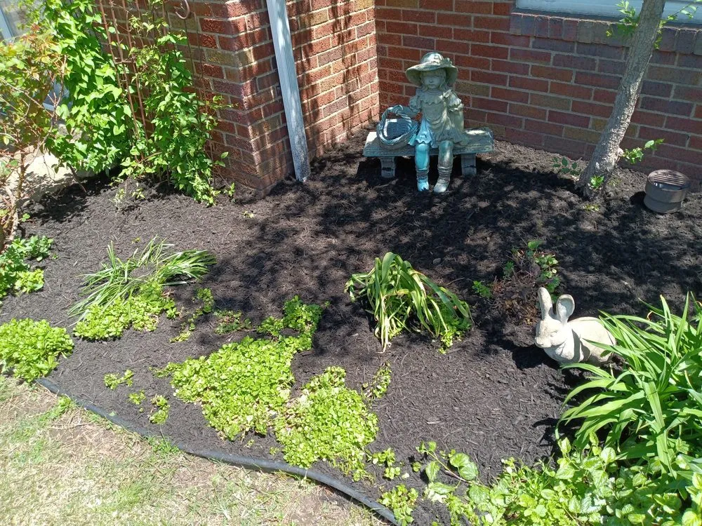 Professional landscape installation in Aliquippa, PA - Coamo Landscaping and Lawn Care