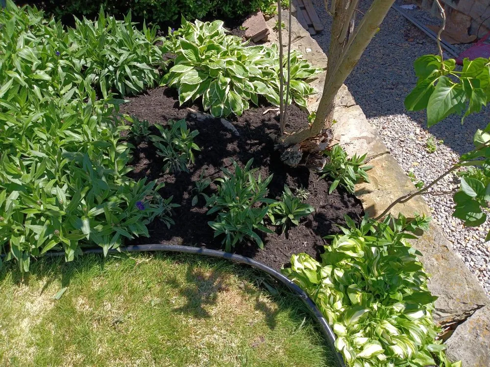 Affordable outdoor landscaping experts serving Aliquippa, PA - Coamo Landscaping and Lawn Care