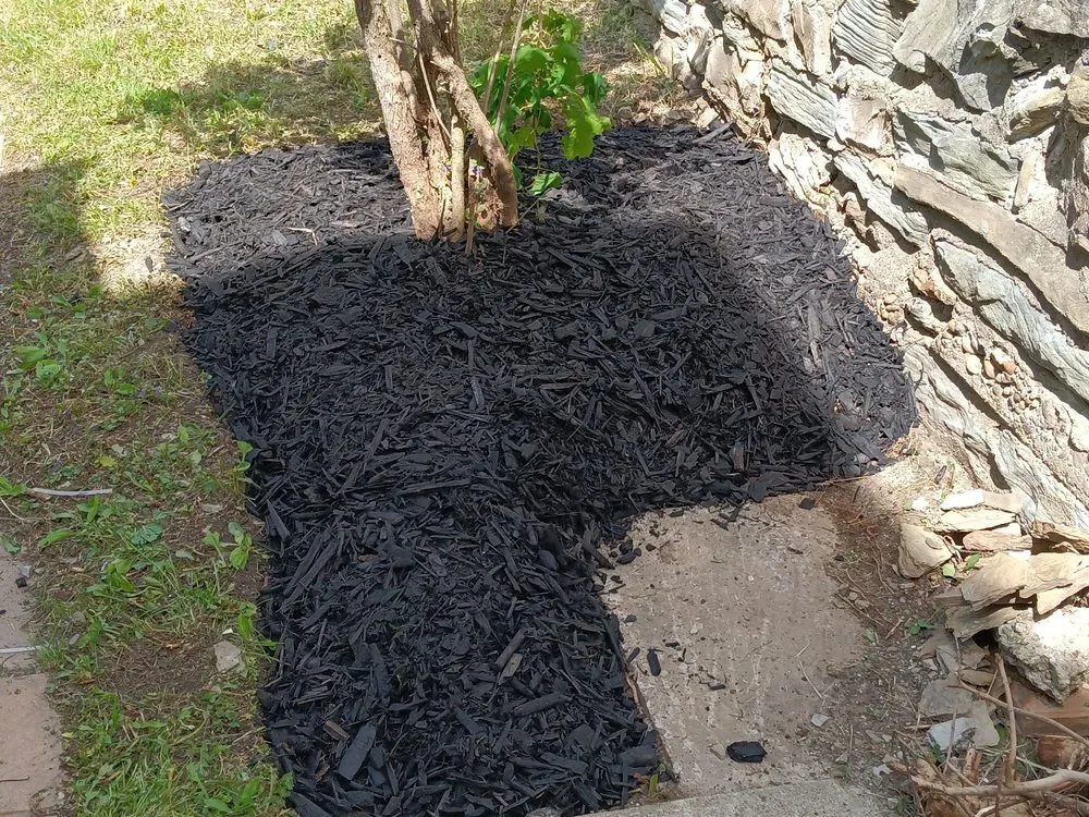 Affordable lawn mowing service experts serving Aliquippa, PA - Coamo Landscaping and Lawn Care