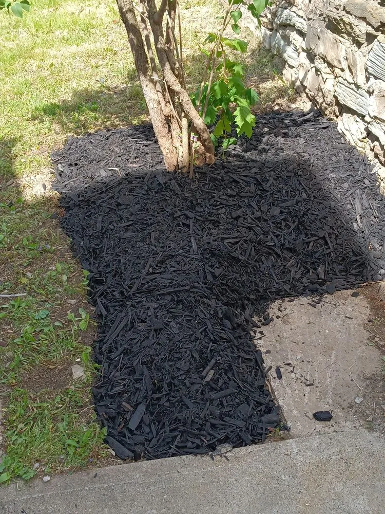 Trusted outdoor landscaping for beautiful yards in Aliquippa, PA by Coamo Landscaping and Lawn Care