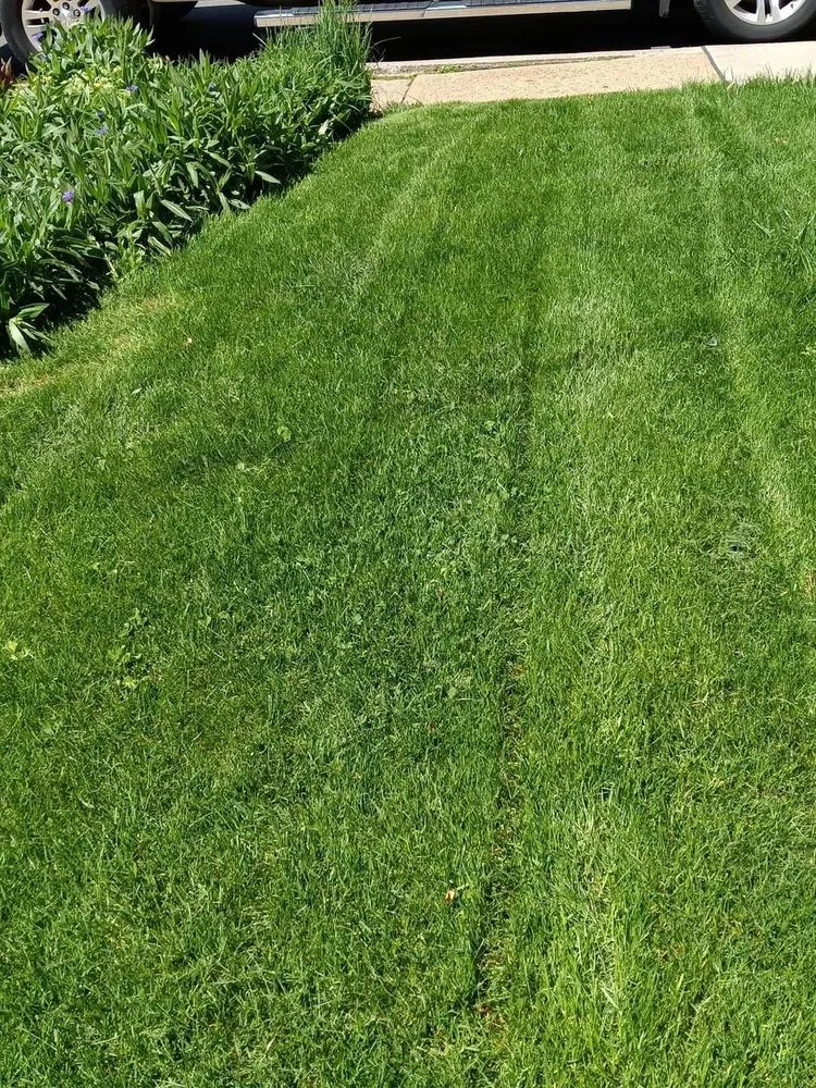 Expert outdoor landscaping for homes across Aliquippa, PA - Coamo Landscaping and Lawn Care