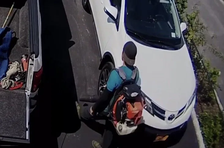 Affordable yard cleanup service experts serving Sayville, NY - Coan's Landscaping