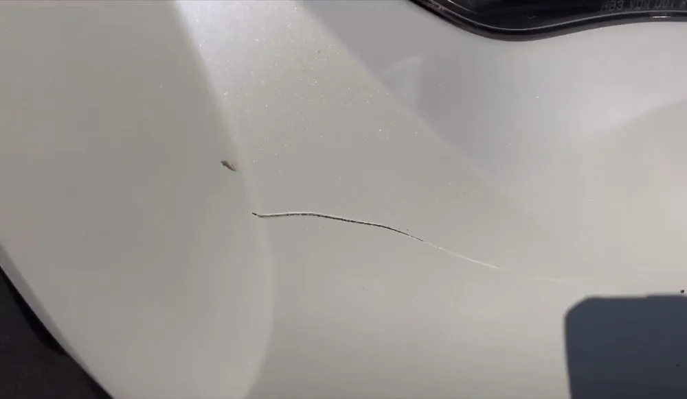 Expert residential landscaping experts serving Sayville, NY - Coan's Landscaping