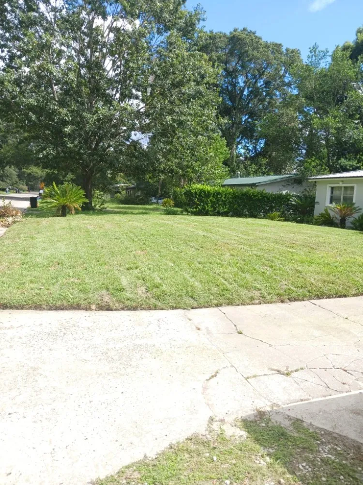 Expert garden landscaping in Gainesville, FL by Coar Complete Lawn Services And More
