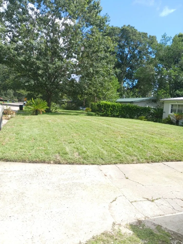 Reliable lawn mowing service for outdoor upgrades in Gainesville, FL by Coar Complete Lawn Services And More