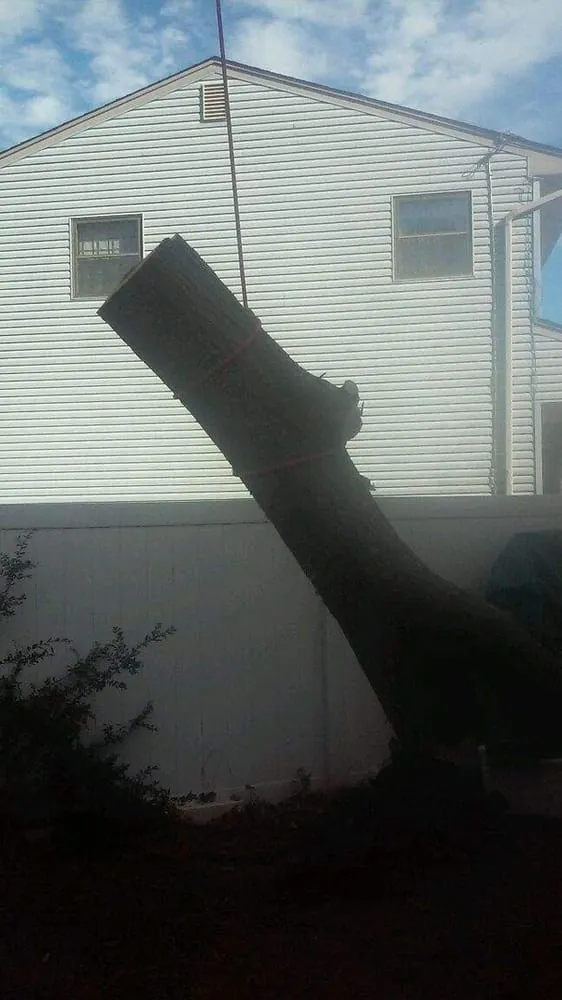 Top-rated landscape design in Agoura Hills, CA by Coast and Canyon Tree Service