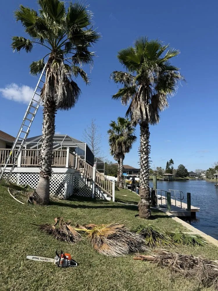 Top-rated landscape installation experts serving Palm Coast, FL - Coast Care Lawn Maintenance