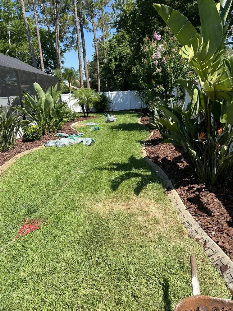 Top-rated yard maintenance in Palm Coast, FL by Coast Care Lawn Maintenance