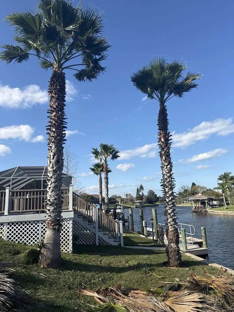 Professional landscape installation for year-round maintenance across Palm Coast, FL - Coast Care Lawn Maintenance