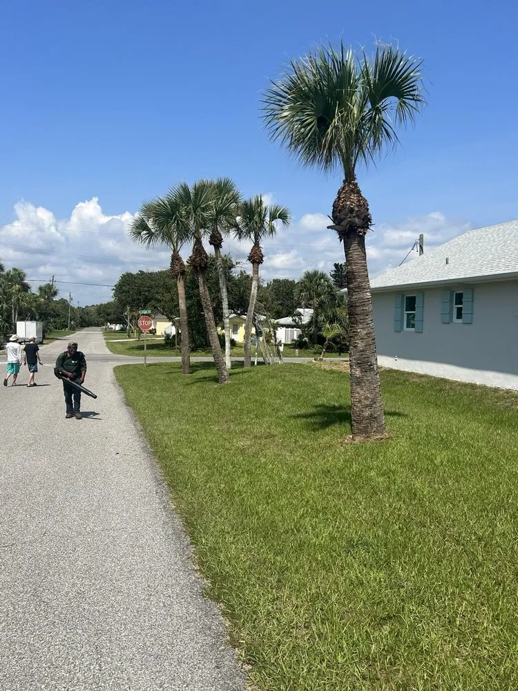 Top-rated landscaping services for beautiful yards across Palm Coast, FL - Coast Care Lawn Maintenance