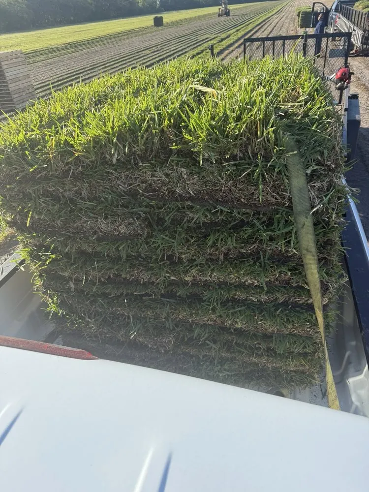 Trusted yard cleanup service in Palm Coast, FL - Coast Care Lawn Maintenance