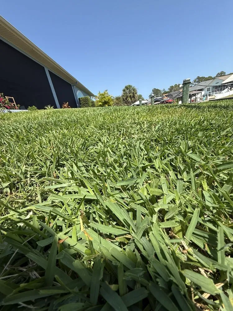 Trusted yard cleanup service for beautiful yards in Palm Coast, FL by Coast Care Lawn Maintenance