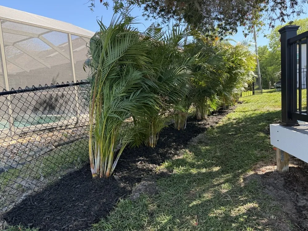 Top-rated yard cleanup service in Palm Coast, FL - Coast Care Lawn Maintenance