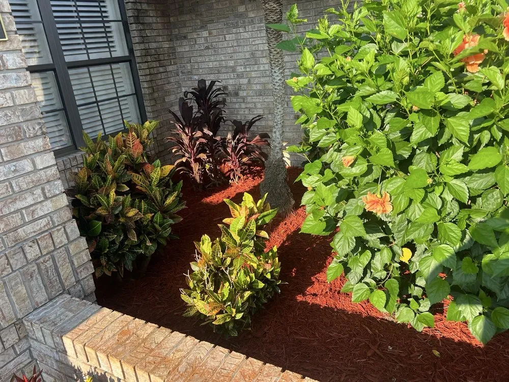 Reliable landscape installation in Palm Coast, FL by Coast Care Lawn Maintenance