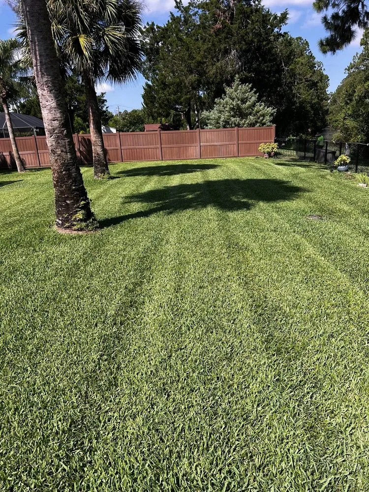 Reliable lawn mowing service for beautiful yards in Palm Coast, FL by Coast Care Lawn Maintenance