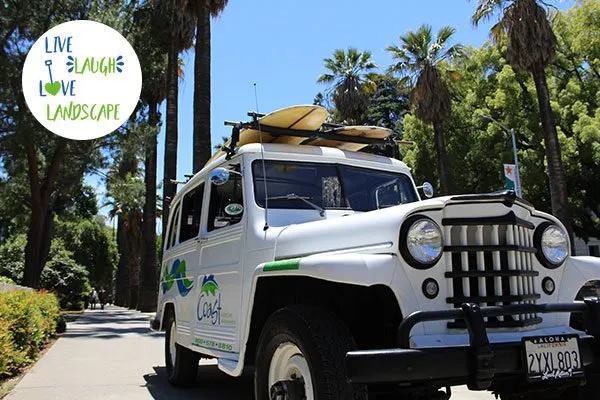 Reliable yard cleanup service near you in Napa, CA by Coast Landscape Management