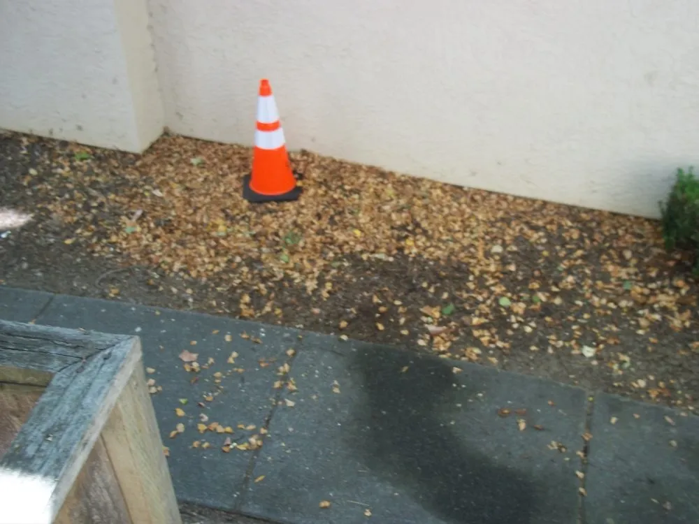 Reliable residential landscaping for year-round maintenance in Napa, CA by Coast Landscape Management