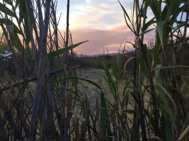 Local residential landscaping for homes across Vista, CA - Coast Landscaping