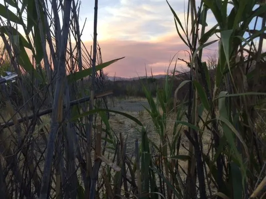 Coast Landscaping Logo