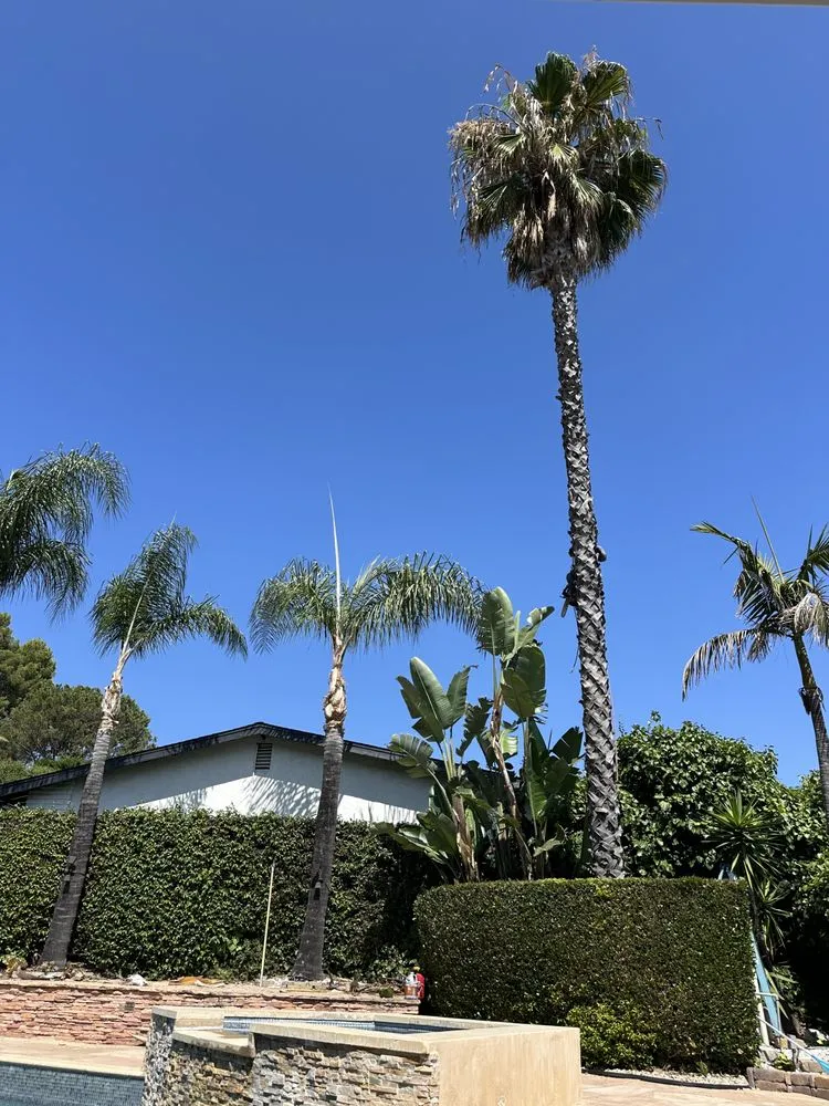 Professional lawn mowing service for year-round maintenance across Kagel Canyon, CA - Coast Landworx