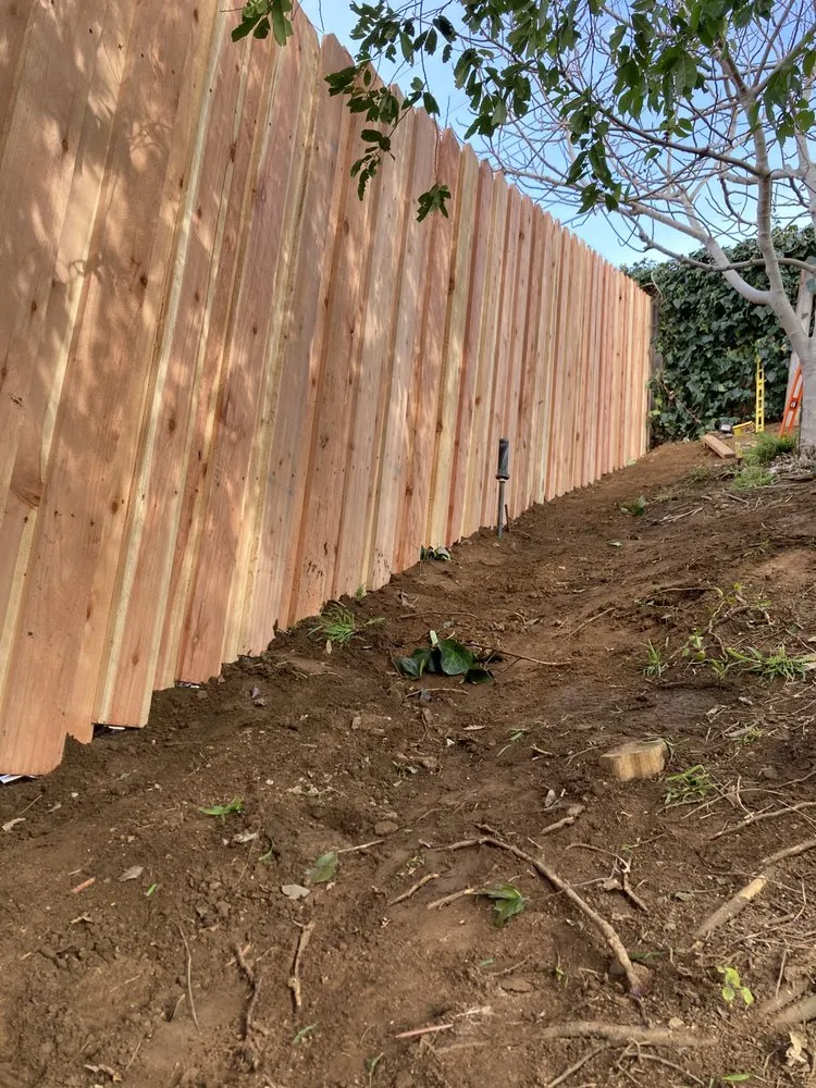 Expert yard cleanup service with custom design in Kagel Canyon, CA by Coast Landworx