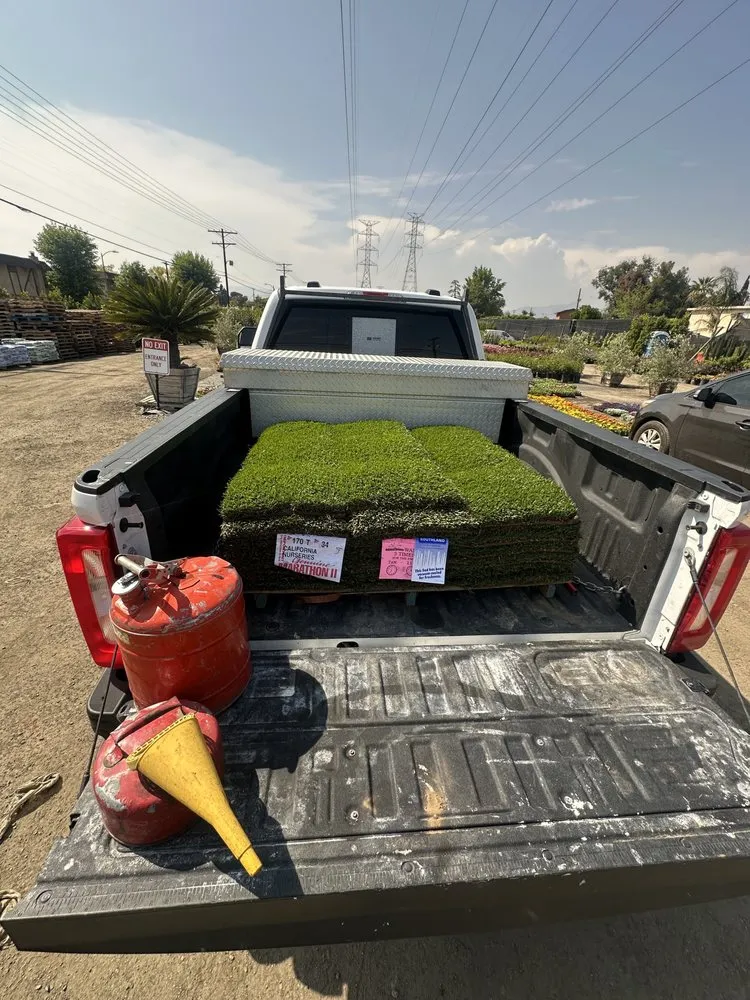 Affordable yard cleanup service in Kagel Canyon, CA by Coast Landworx